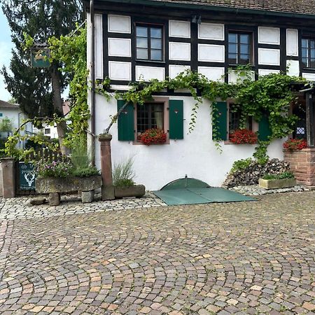 Exklusive Maisonette-Wohnung Am Rande Von Freiburg Merzhausen Bagian luar foto