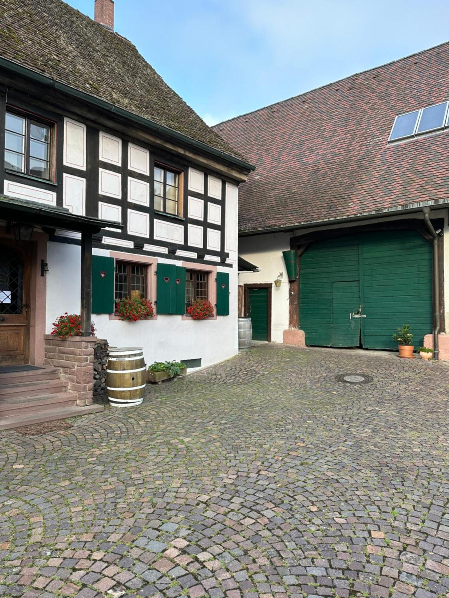 Exklusive Maisonette-Wohnung Am Rande Von Freiburg Merzhausen Bagian luar foto