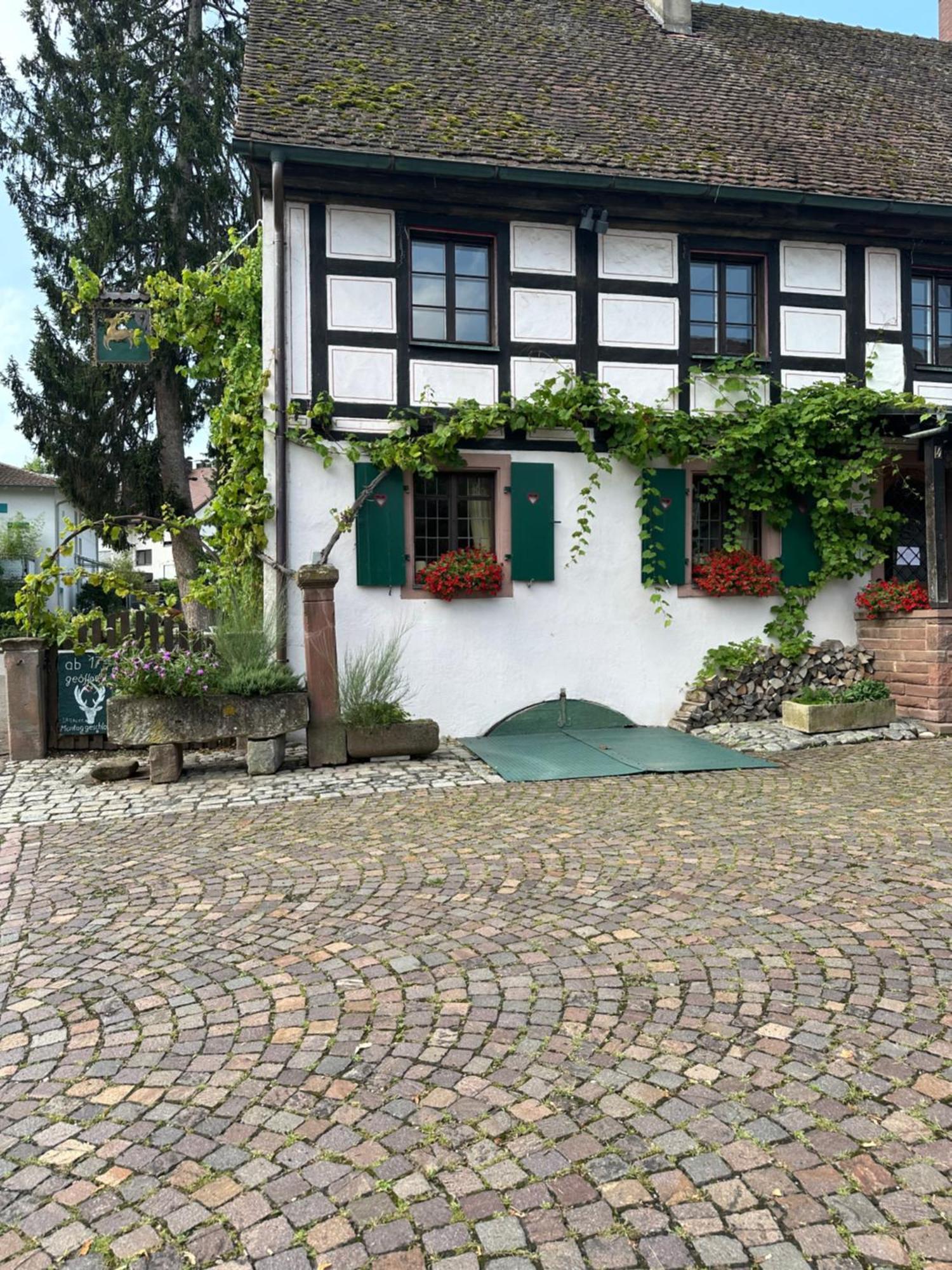 Exklusive Maisonette-Wohnung Am Rande Von Freiburg Merzhausen Bagian luar foto